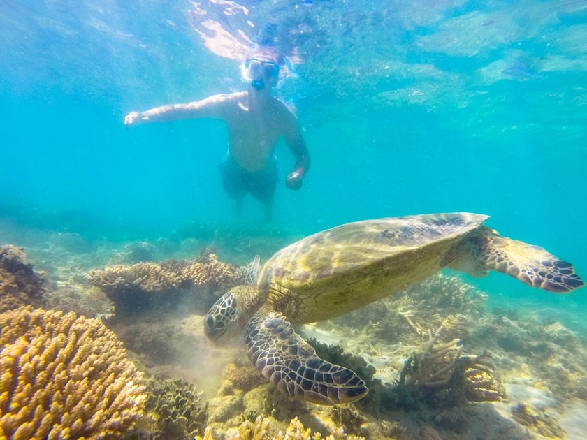 Australia, Fitzroy Island